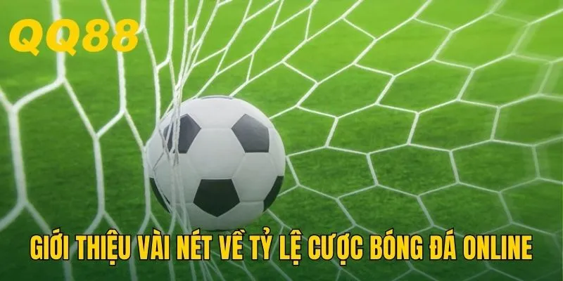 Giới thiệu vài nét về tỷ lệ kèo bóng đá hôm nay